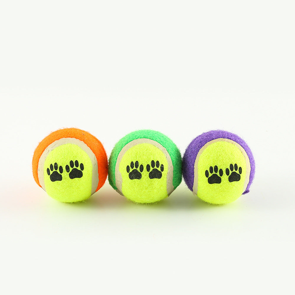 Outdoor Dog Training Throw Toy for Dogs – Durable Interactive Fetch Toy