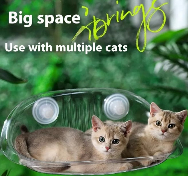 Cat Window Sleeping Cat Hammock