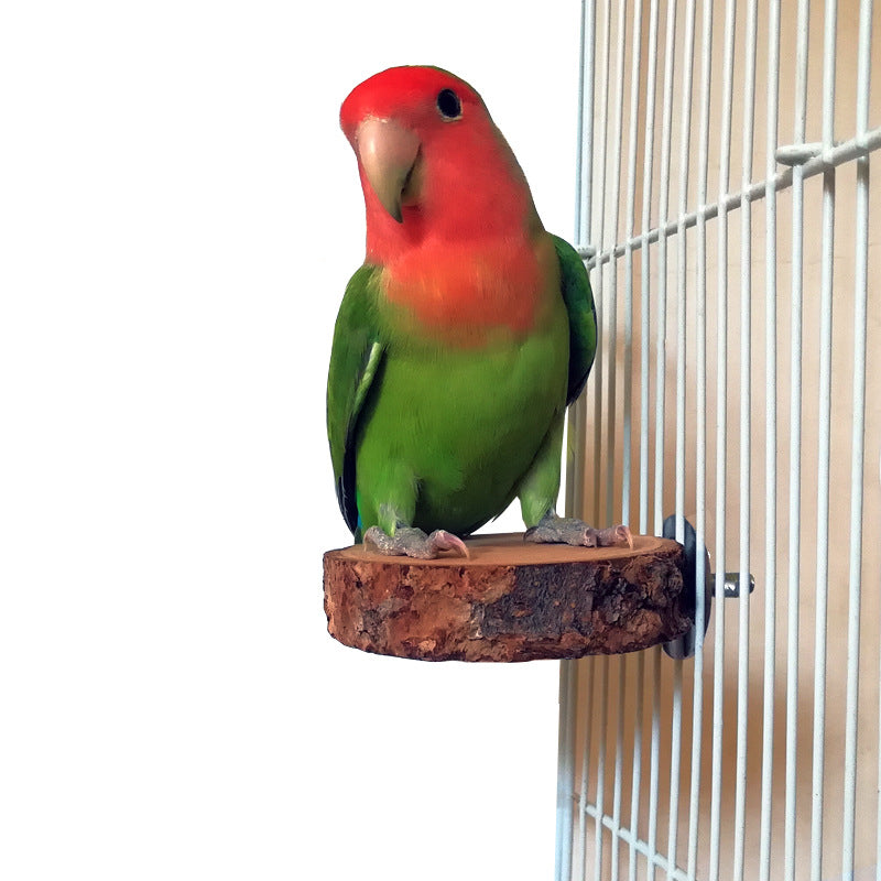 Apple Wood Parrot Stand and Swing Toy for Birds
