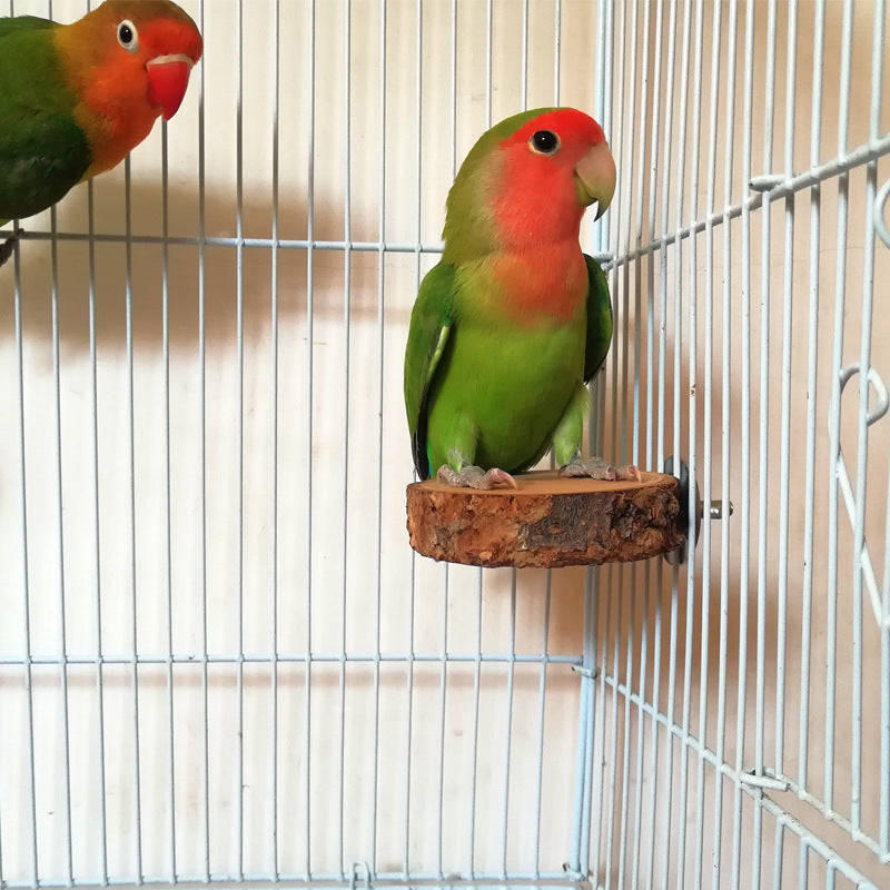 Apple Wood Parrot Stand and Swing Toy for Birds