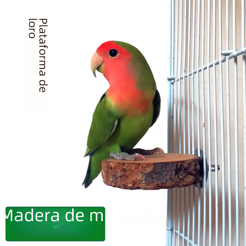 Apple Wood Parrot Stand and Swing Toy for Birds